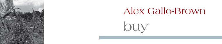 Alex Gallo-Brown Essays
